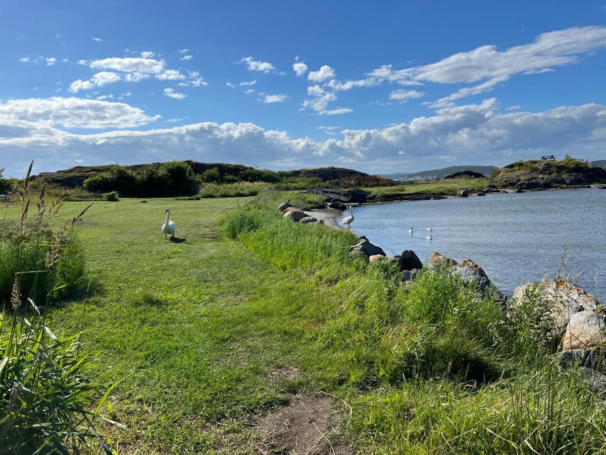 Ny Leilighet I Nevlunghavn Larvik Exteriör bild