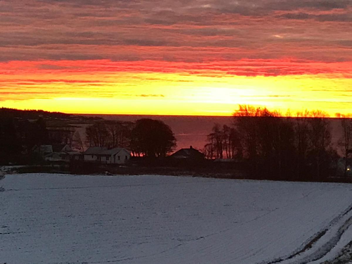 Ny Leilighet I Nevlunghavn Larvik Exteriör bild