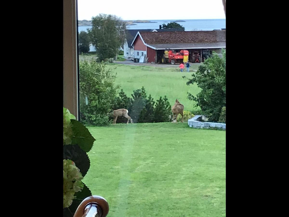 Ny Leilighet I Nevlunghavn Larvik Exteriör bild