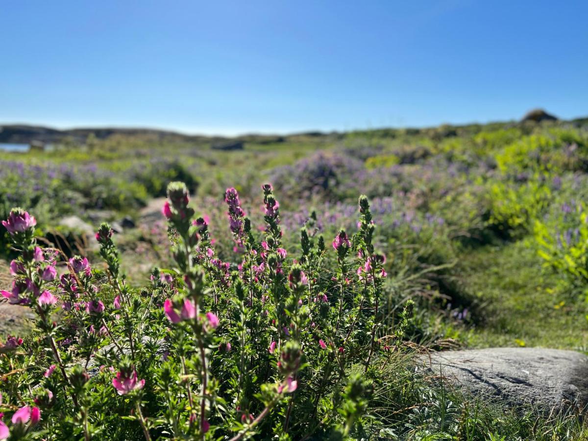 Ny Leilighet I Nevlunghavn Larvik Exteriör bild