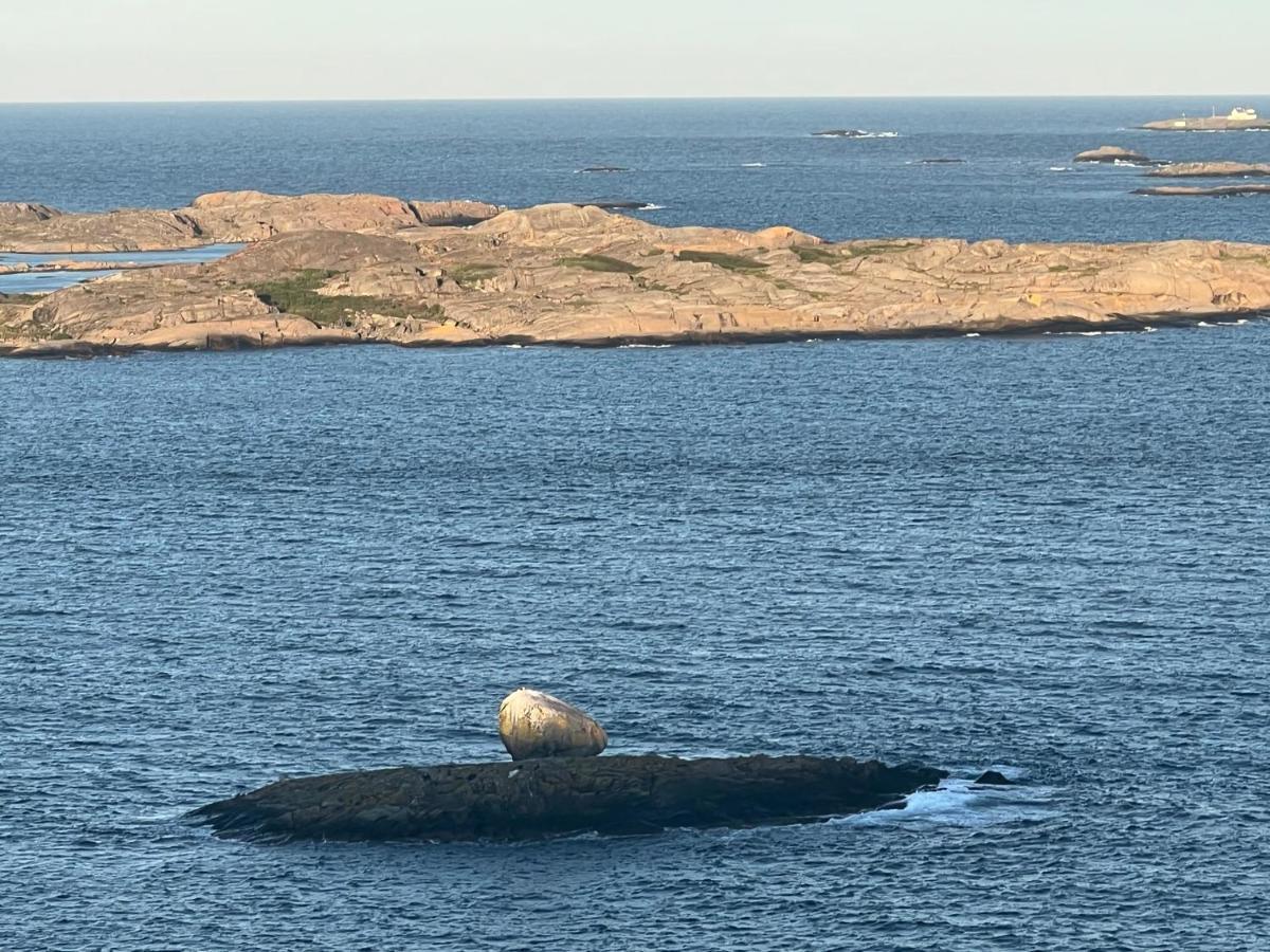 Ny Leilighet I Nevlunghavn Larvik Exteriör bild